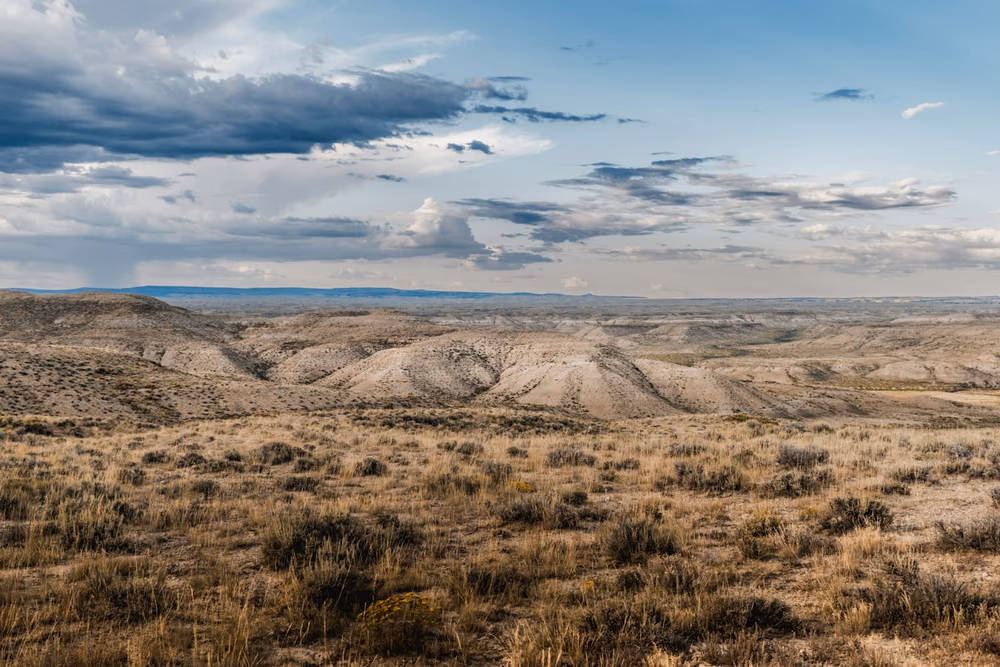 Pale grey shale hills and low badlands rising behind a foreground of dry sagebrush and bunch grass